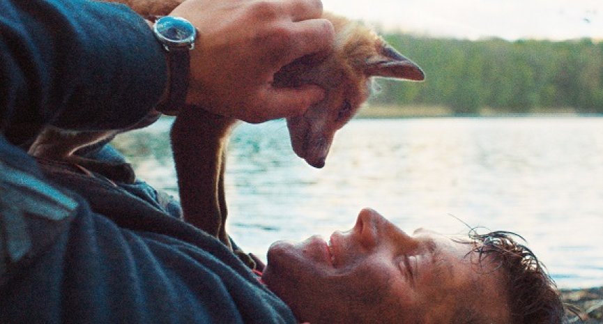 最萌戰友竟是「牠」！《戰火下的小狐狸》暖心獻映